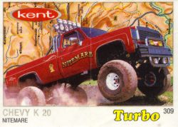 Turbo №309 — Turbo 261-330 thin frame silver №309, изображение каталога
